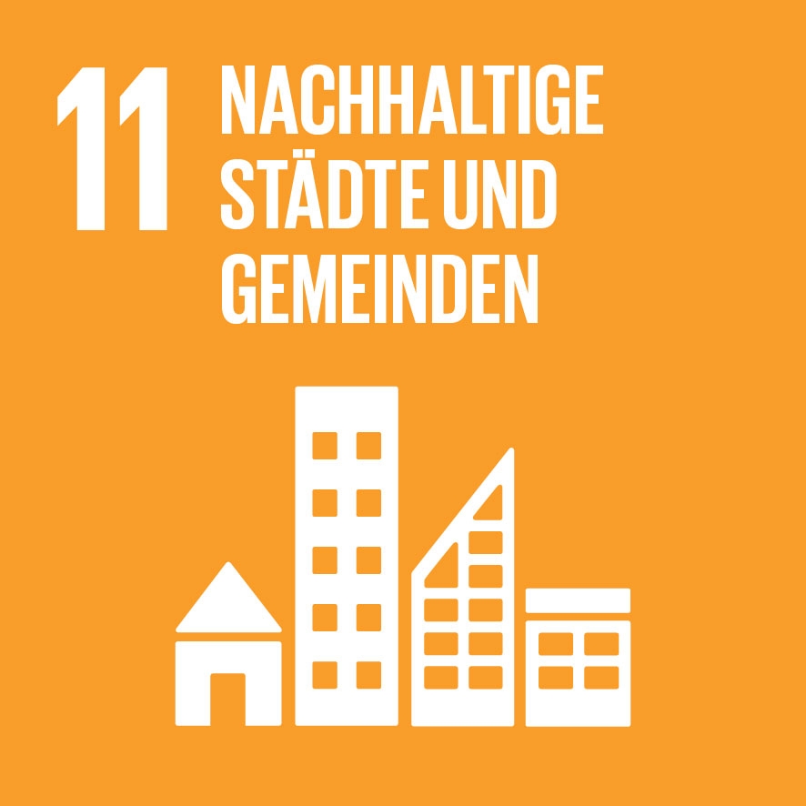 SDG Icon