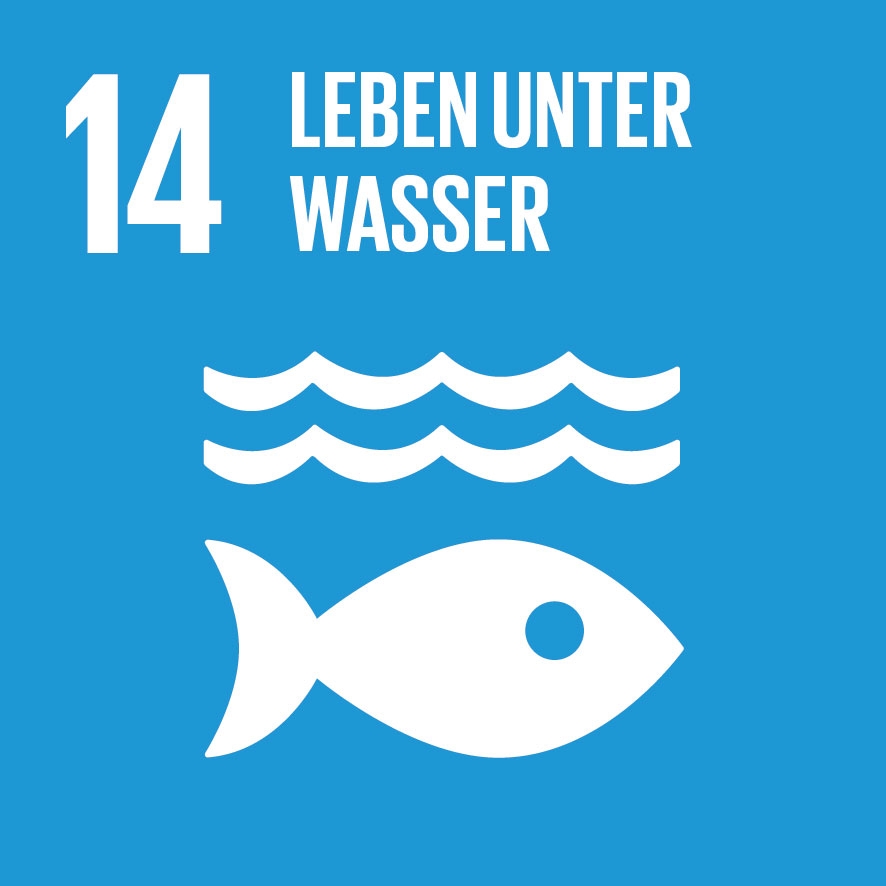 SDG Icon